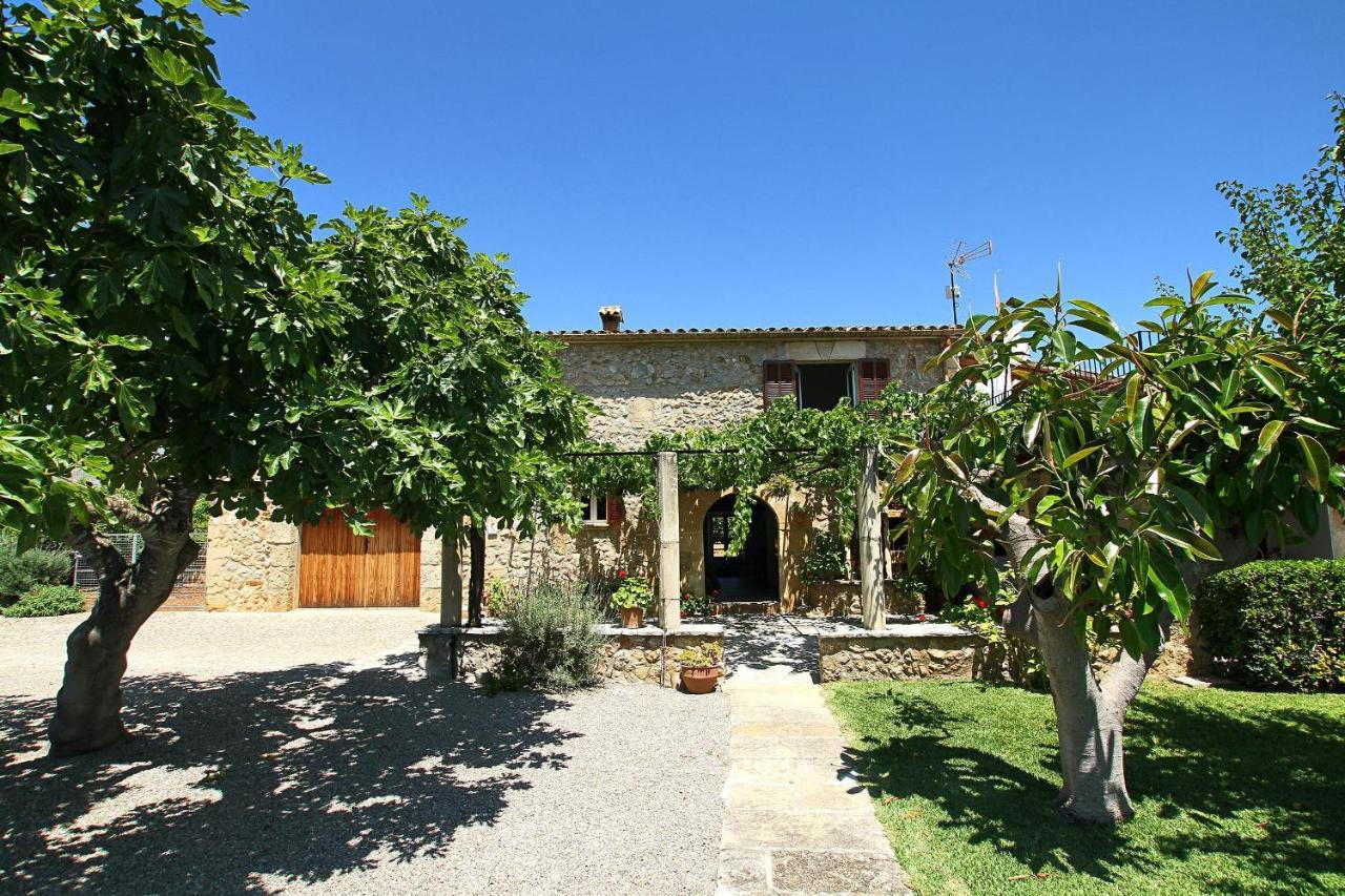 Crever * Pollenca